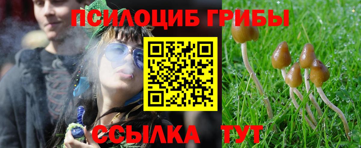 Галлюциногенные грибы прущие грибы Алейск