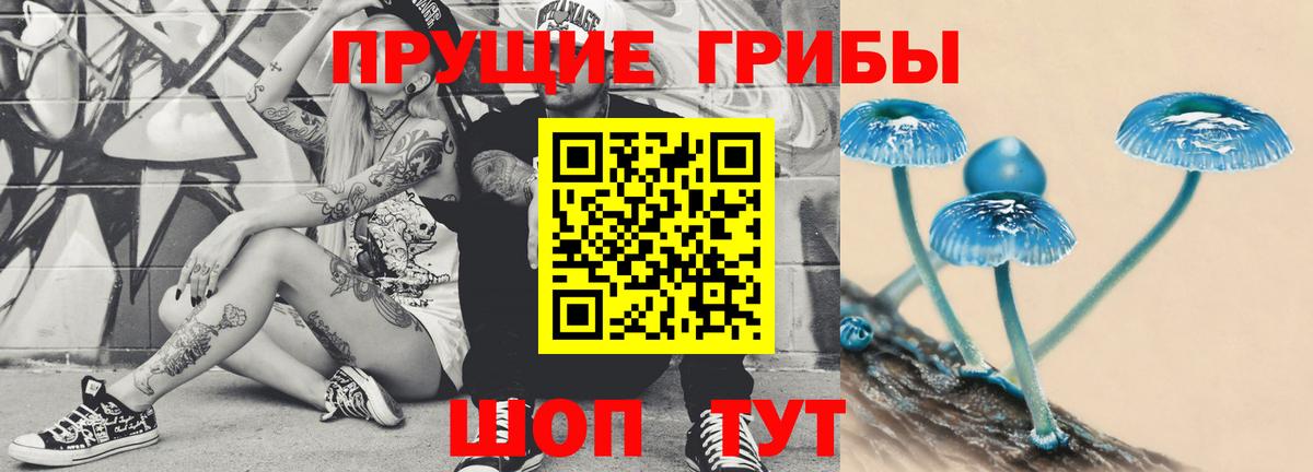 Псилоцибиновые грибы мицелий  Вход с VPN  Алейск 